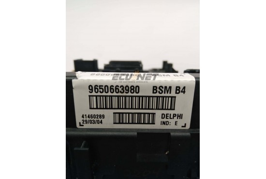 ΑΣΦΑΛΕΙΟΘΗΚΗ BODY CONTROL-BSI DELPHI PEUGEOT 307 9650663980 BSM B4