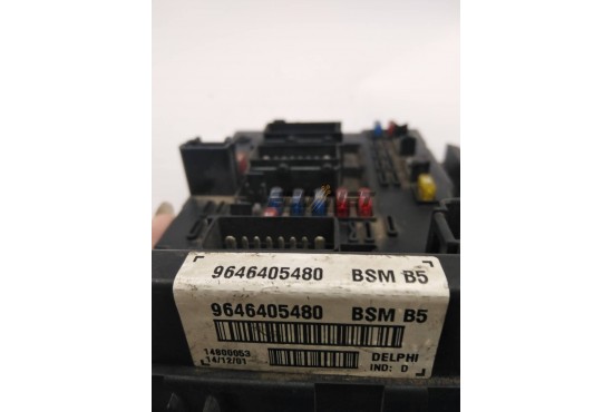 ΑΣΦΑΛΕΙΟΘΗΚΗ BODY CONTROL-BSI DELPHI PEUGEOT 206 9646405480 BSM B5 