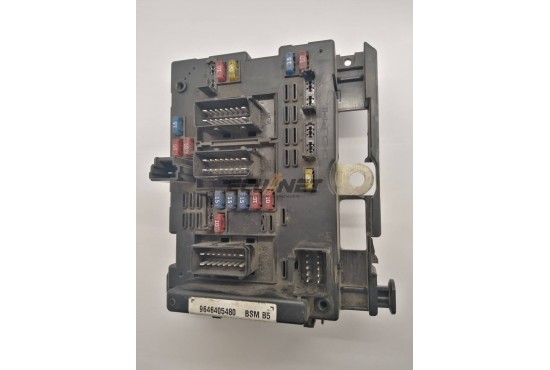 ΑΣΦΑΛΕΙΟΘΗΚΗ BODY CONTROL-BSI DELPHI PEUGEOT 206 9646405480 BSM B5 