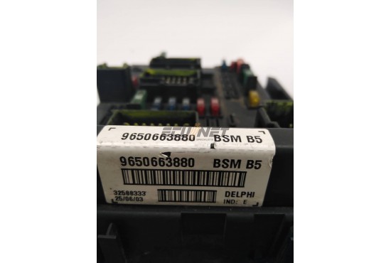 ΑΣΦΑΛΕΙΟΘΗΚΗ BODY CONTROL-BSI DELPHI PEUGEOT-CITROEN 9650663880 BSM B5 