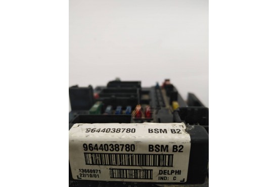 ΑΣΦΑΛΕΙΟΘΗΚΗ BODY CONTROL-BSI DELPHI PEUGEOT 307 9644038780 BSM B2