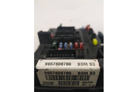 ΑΣΦΑΛΕΙΟΘΗΚΗ BODY CONTROL-BSI DELPHI PEUGEOT 206 9657608780 BSM B3