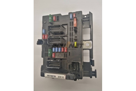 ΑΣΦΑΛΕΙΟΘΗΚΗ BODY CONTROL-BSI DELPHI PEUGEOT 206 9657608780 BSM B3