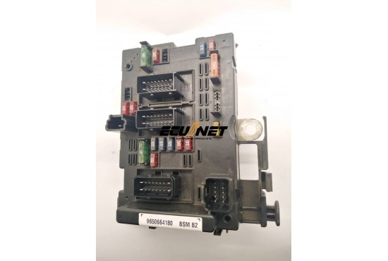 ΑΣΦΑΛΕΙΟΘΗΚΗ BODY CONTROL-BSI DELPHI PEUGEOT 206/307 9650664180 BSM B2