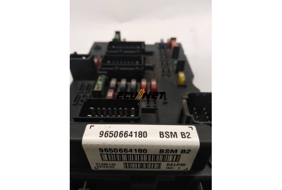 ΑΣΦΑΛΕΙΟΘΗΚΗ BODY CONTROL-BSI DELPHI PEUGEOT 206/307 9650664180 BSM B2