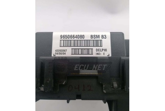 ΑΣΦΑΛΕΙΟΘΗΚΗ BODY CONTROL-BSI DELPHI BSM-B3 PEUGEOT 206/307 - CITROEN C3 02'-10' 9650664080 