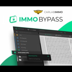 Immo Bypass Software