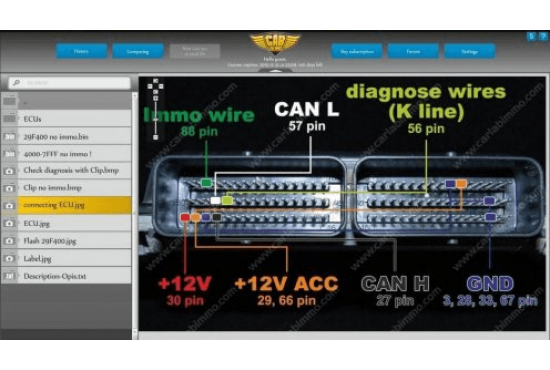 Immo Bypass Software